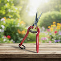 Pruning Shears Trimming